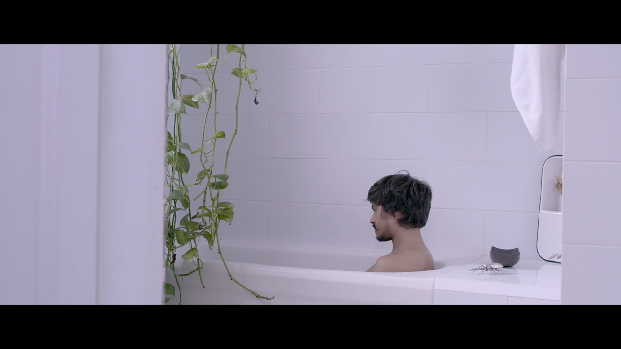 Odisseo / invencibles